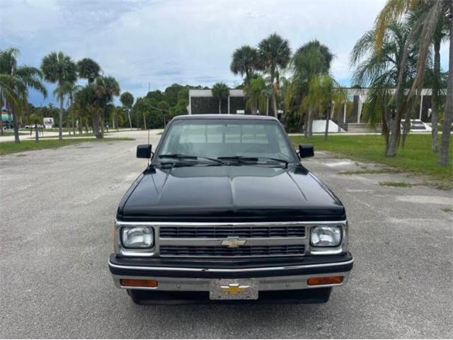 1991 Chevrolet S10 (CC-2103239) for sale in Cadillac, Michigan