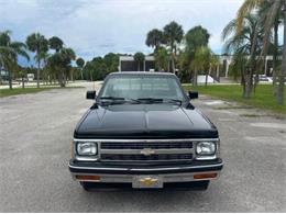 1991 Chevrolet S10 (CC-2103239) for sale in Cadillac, Michigan