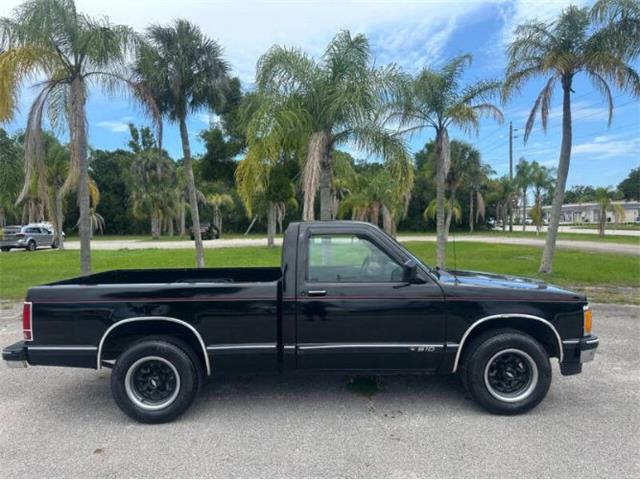 1991 Chevrolet S10 (CC-2103239) for sale in Cadillac, Michigan