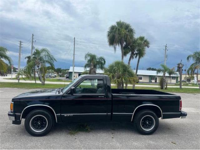 1991 Chevrolet S10 (CC-2103239) for sale in Cadillac, Michigan