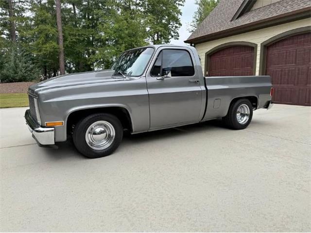 1977 Chevrolet Silverado (CC-2103254) for sale in Cadillac, Michigan