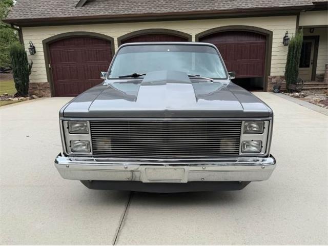 1977 Chevrolet Silverado (CC-2103254) for sale in Cadillac, Michigan
