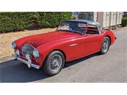 1956 Austin-Healey 100-4 (CC-2103262) for sale in Cadillac, Michigan