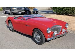 1956 Austin-Healey 100-4 (CC-2103262) for sale in Cadillac, Michigan