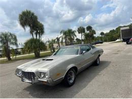 1972 Ford Torino (CC-2103268) for sale in Cadillac, Michigan