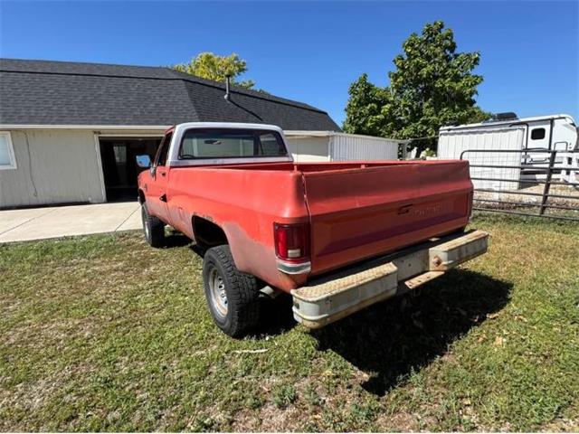 1981 Chevrolet K-20 (CC-2103271) for sale in Cadillac, Michigan