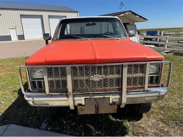 1981 Chevrolet K-20 (CC-2103271) for sale in Cadillac, Michigan
