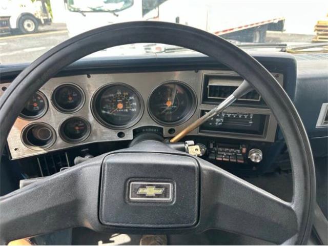 1985 Chevrolet Suburban (CC-2103273) for sale in Cadillac, Michigan