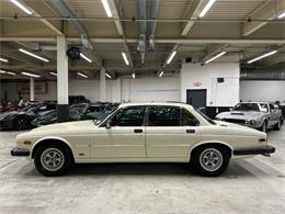 1987 Jaguar XJ (CC-2103298) for sale in Huntington Station, New York