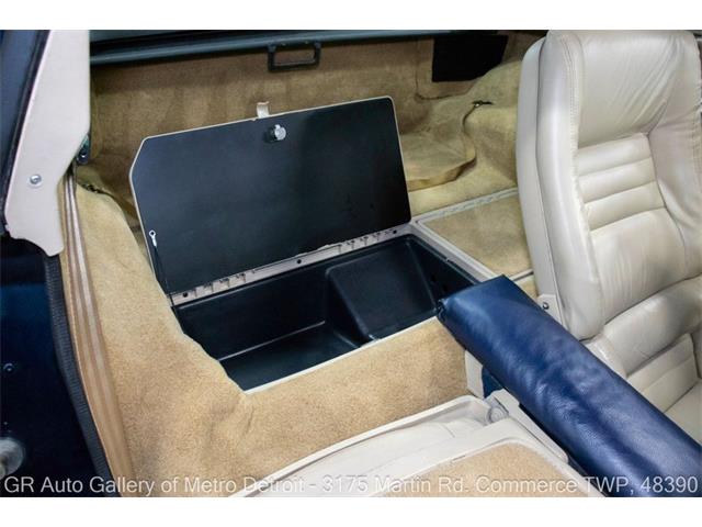 1979 Chevrolet Corvette (CC-2100331) for sale in Kentwood, Michigan