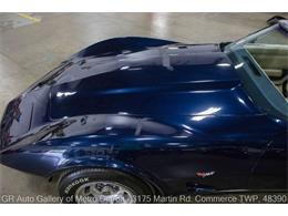 1979 Chevrolet Corvette (CC-2100331) for sale in Kentwood, Michigan