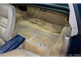 1979 Chevrolet Corvette (CC-2100331) for sale in Kentwood, Michigan