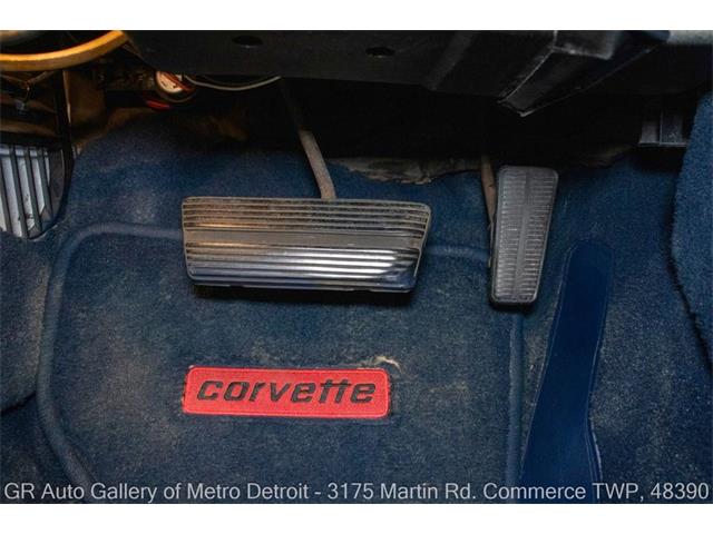 1979 Chevrolet Corvette (CC-2100331) for sale in Kentwood, Michigan