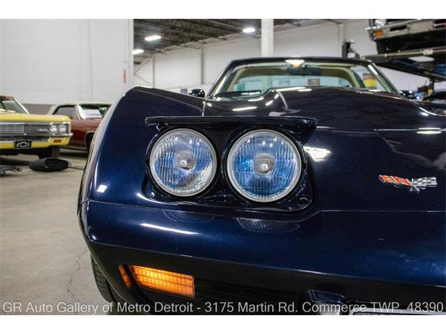 1979 Chevrolet Corvette (CC-2100331) for sale in Kentwood, Michigan