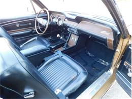 1968 Shelby GT350 (CC-2103325) for sale in Fenton, Missouri
