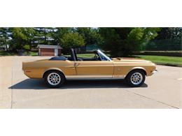 1968 Shelby GT350 (CC-2103325) for sale in Fenton, Missouri