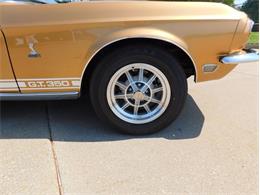 1968 Shelby GT350 (CC-2103325) for sale in Fenton, Missouri