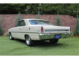 1967 Chevrolet Nova (CC-2103331) for sale in Greeley, Colorado