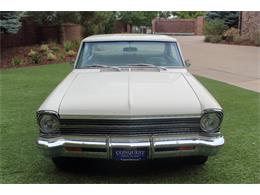 1967 Chevrolet Nova (CC-2103331) for sale in Greeley, Colorado