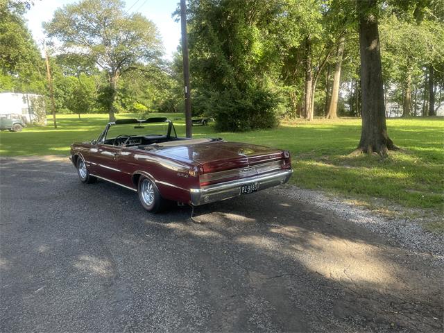 1964 Pontiac GTO "Tri-Power 4-Speed" (CC-2103354) for sale in Tyler, Texas