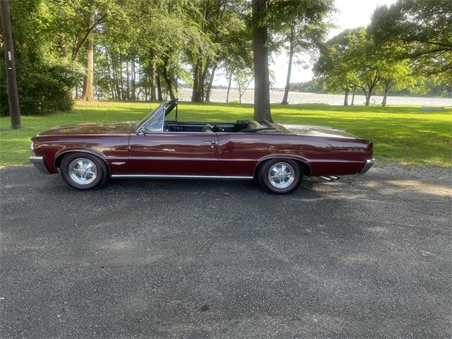 1964 Pontiac GTO "Tri-Power 4-Speed" (CC-2103354) for sale in Tyler, Texas