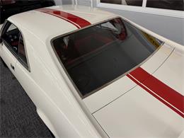 1969 AMC Javelin (CC-2100034) for sale in Mundelein, Illinois