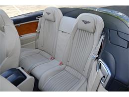 2016 Bentley Continental GTC V8 (CC-2103400) for sale in Boca Raton, Florida