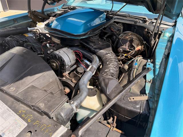 1979 Pontiac Firebird Trans Am (CC-2103444) for sale in Corydon, Indiana