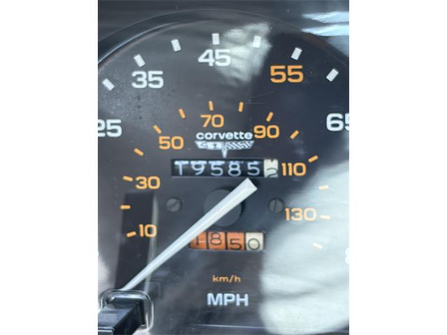 1981 Chevrolet Corvette (CC-2103456) for sale in Fort Myers , Florida