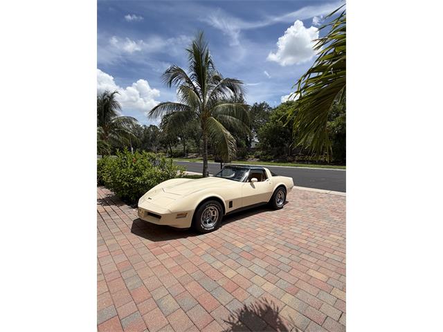 1981 Chevrolet Corvette (CC-2103456) for sale in Fort Myers , Florida
