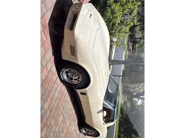 1981 Chevrolet Corvette (CC-2103456) for sale in Fort Myers , Florida