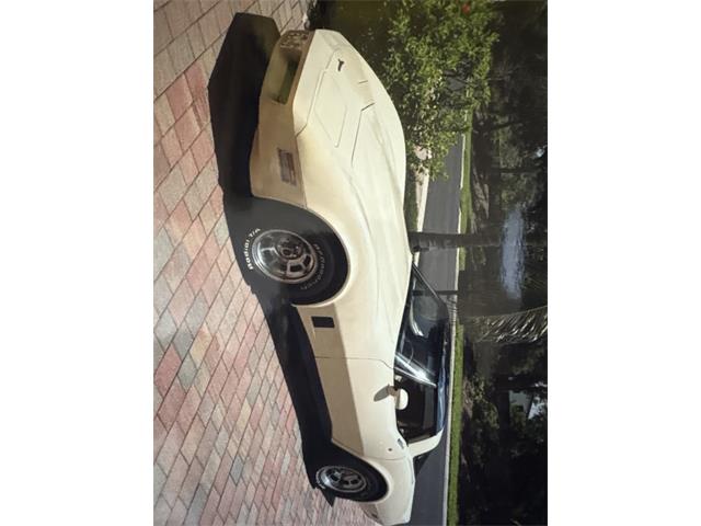 1981 Chevrolet Corvette (CC-2103456) for sale in Fort Myers , Florida
