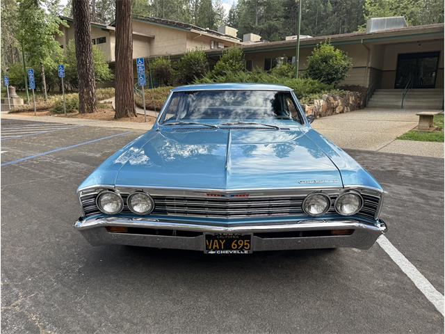 1967 Chevrolet Chevelle Malibu (CC-2103463) for sale in Grass Valley , California