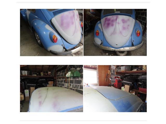 1966 Volkswagen Beetle (CC-2103474) for sale in Baltimore , Maryland