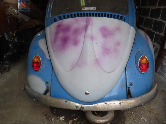 1966 Volkswagen Beetle (CC-2103474) for sale in Baltimore , Maryland
