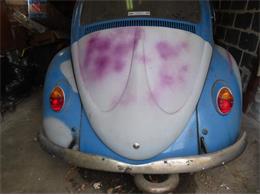 1966 Volkswagen Beetle (CC-2103474) for sale in Baltimore , Maryland