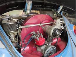 1966 Volkswagen Beetle (CC-2103474) for sale in Baltimore , Maryland