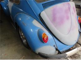 1966 Volkswagen Beetle (CC-2103474) for sale in Baltimore , Maryland