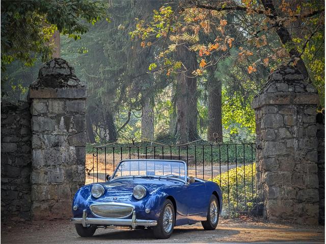 1959 Austin-Healey Sprite (CC-2103479) for sale in Grass Valley, California