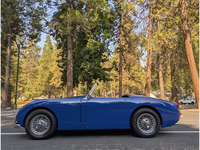 1959 Austin-Healey Sprite (CC-2103479) for sale in Grass Valley, California