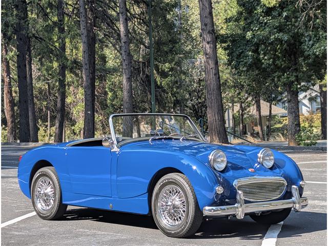 1959 Austin-Healey Sprite (CC-2103479) for sale in Grass Valley, California