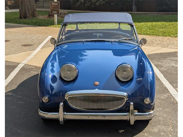 1959 Austin-Healey Sprite (CC-2103479) for sale in Grass Valley, California