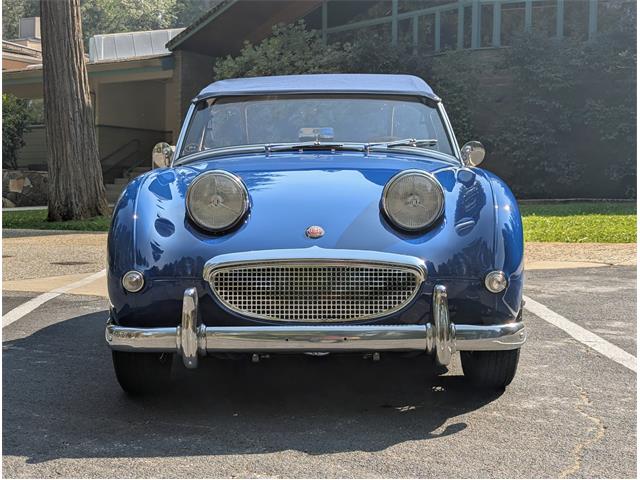 1959 Austin-Healey Sprite (CC-2103479) for sale in Grass Valley, California