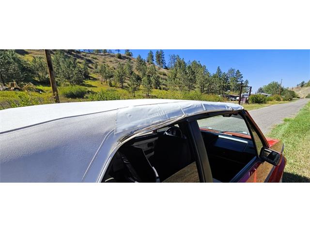 1990 Volkswagen Cabriolet (CC-2103487) for sale in Billings, Montana