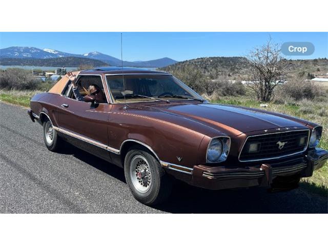 1978 Ford Mustang (CC-2100351) for sale in Cadillac, Michigan