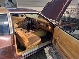 1978 Ford Mustang (CC-2100351) for sale in Cadillac, Michigan