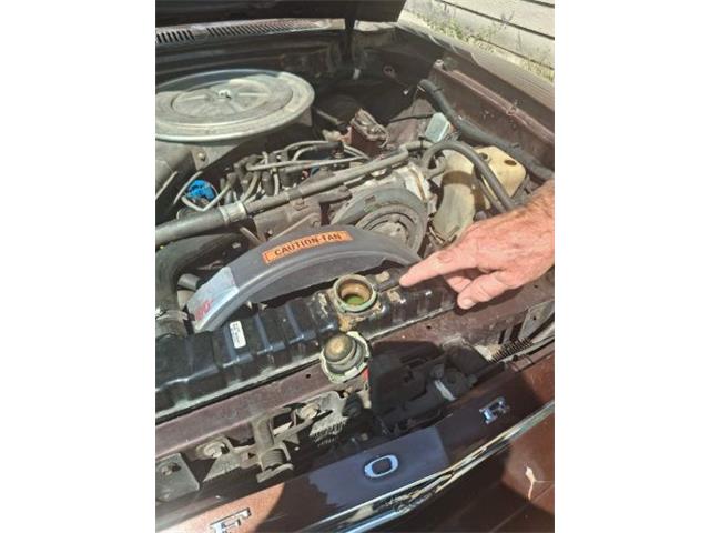 1978 Ford Mustang (CC-2100351) for sale in Cadillac, Michigan