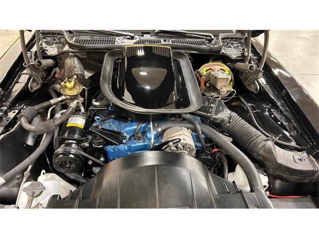 1976 Pontiac Firebird Trans Am (CC-2103526) for sale in Mankato, Minnesota