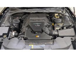 2005 Ford Thunderbird (CC-2103531) for sale in Mankato, Minnesota