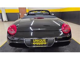 2005 Ford Thunderbird (CC-2103531) for sale in Mankato, Minnesota